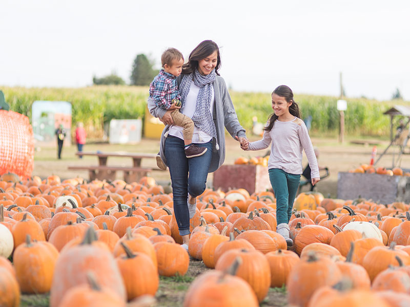 mom and kids walking through pumpkin patch
