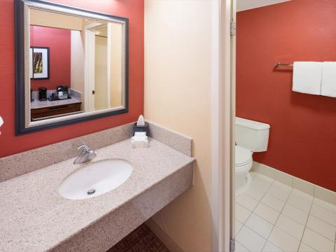 Sonesta Select Detroit Auburn Hills - Bathroom